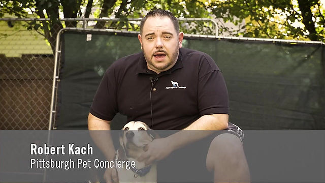 About Pittsburgh Pet Concierge